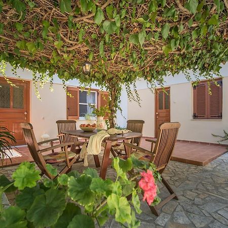 Physis Studios Vasilikí Dış mekan fotoğraf