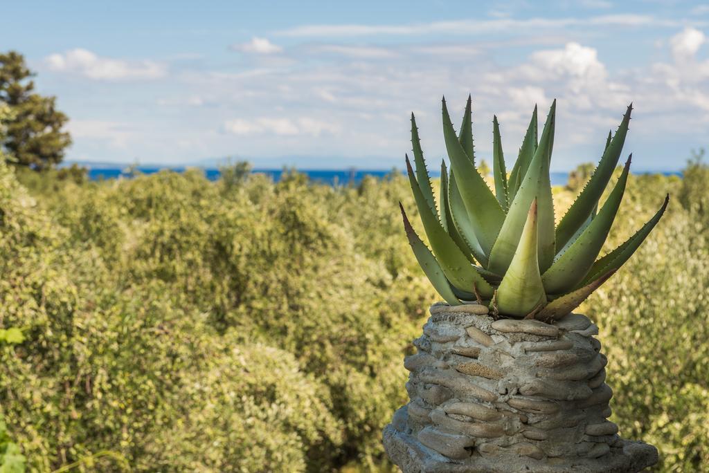 Physis Studios Vasilikí Dış mekan fotoğraf