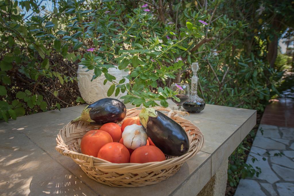 Physis Studios Vasilikí Dış mekan fotoğraf